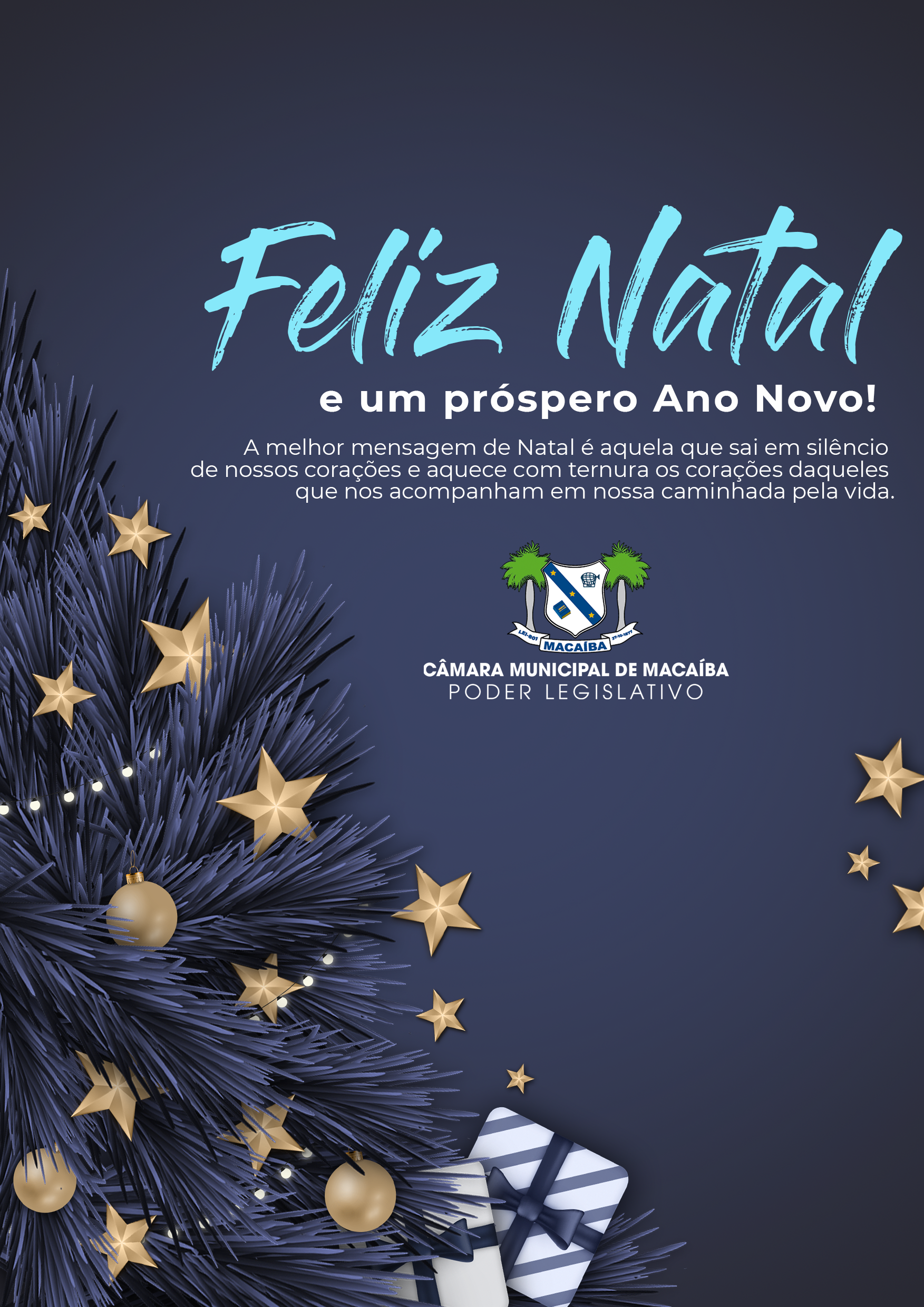 Read more about the article FELIZ NATAL A TODOS!