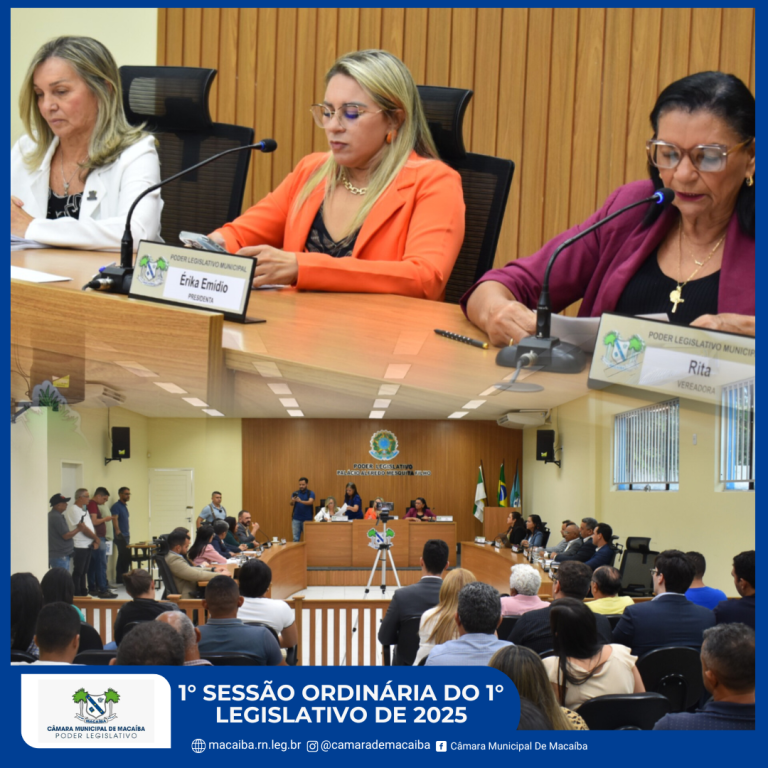 Leia mais sobre o artigo 1ª Sessão Ordinária de 2025